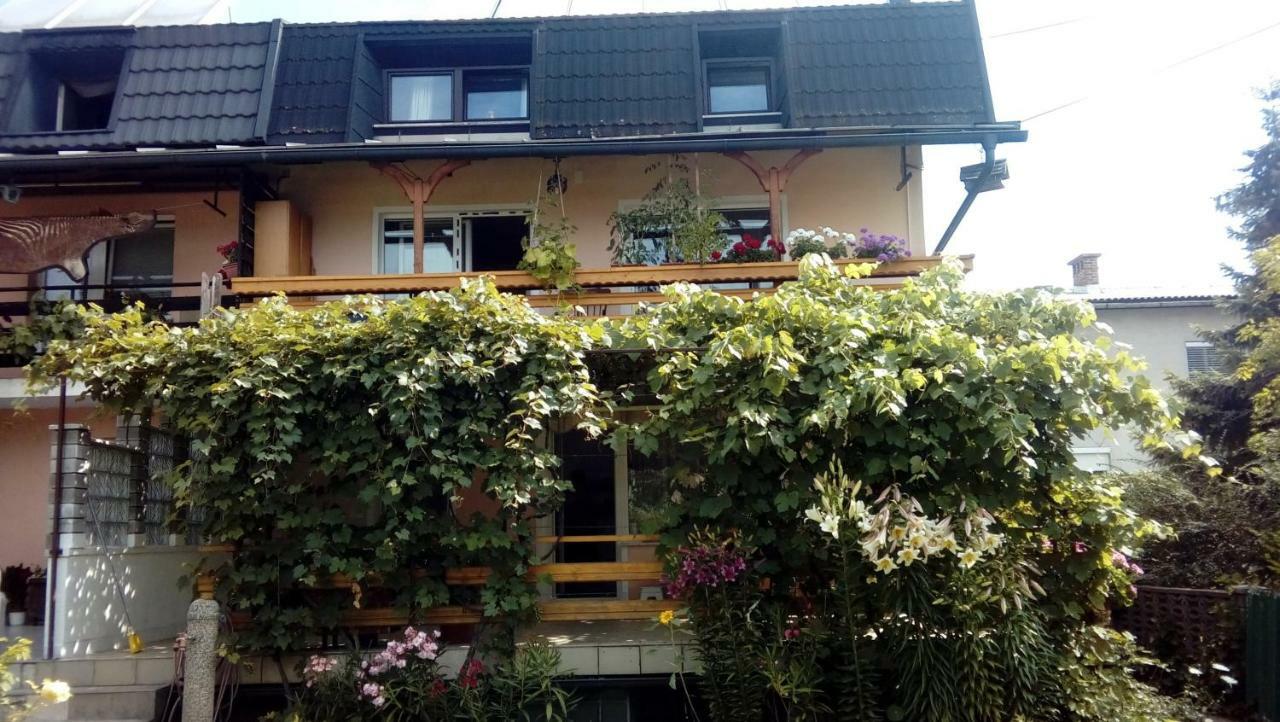 Apartma Meta ラドヴリツァ エクステリア 写真